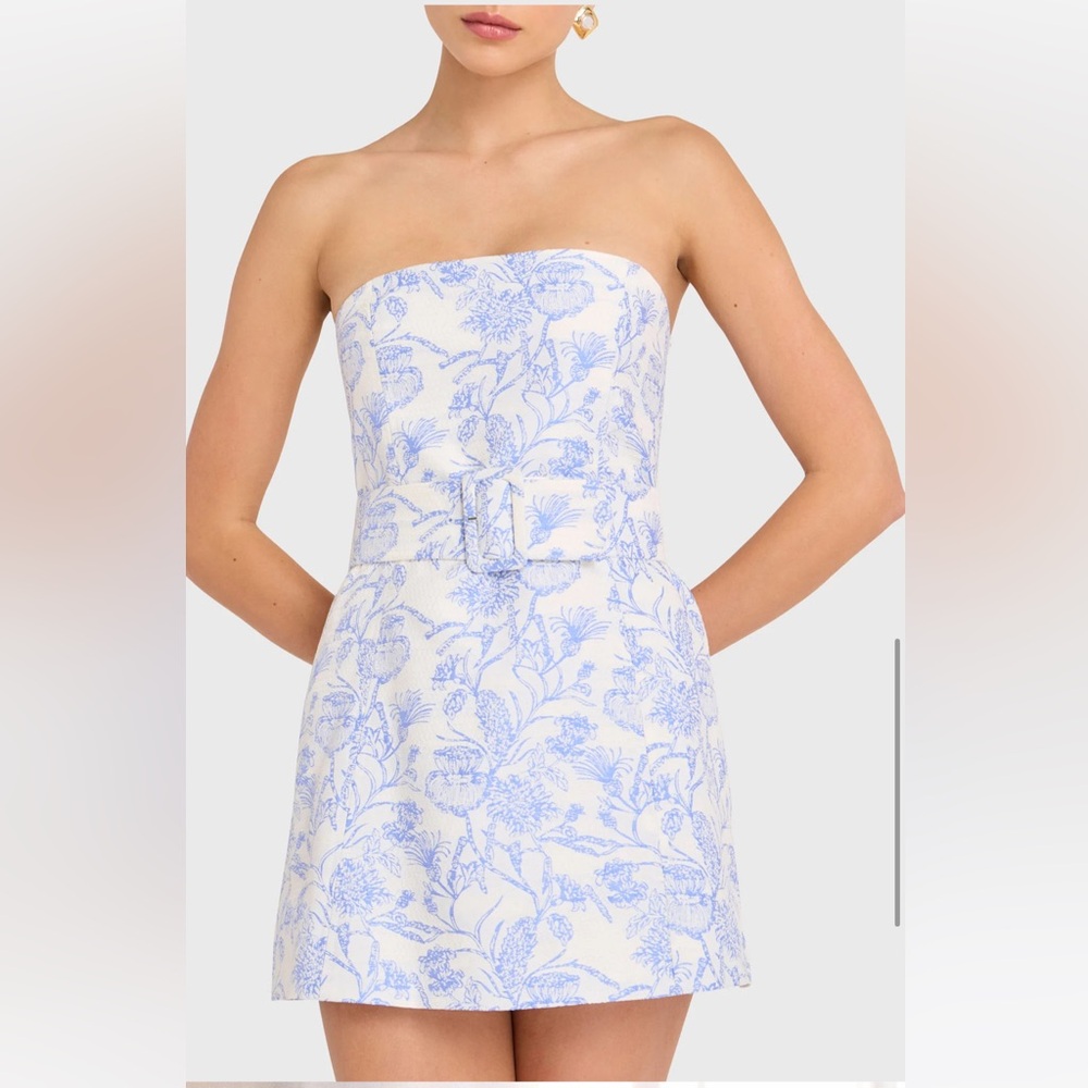 Amanda Uprichard Fae Strapless Dress